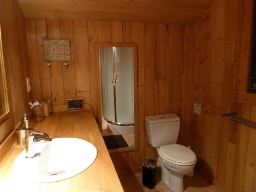 salle de douche avec spacieuse cabine