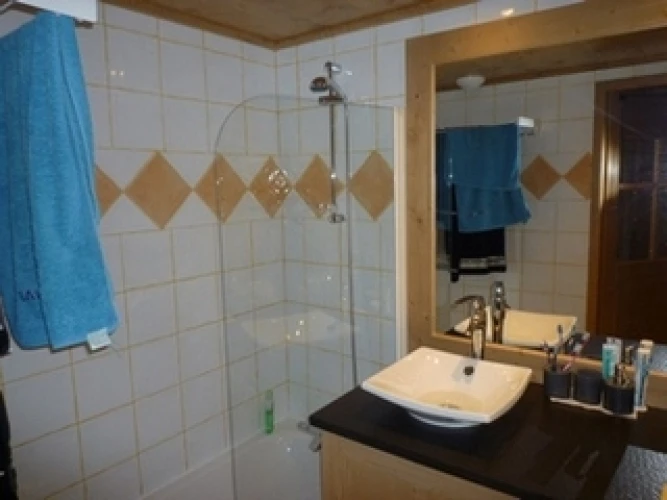 salle de bain avec douche 